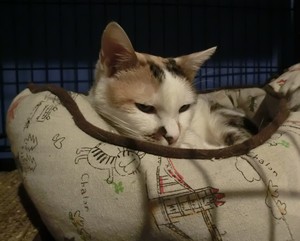2016.4.3 (13).JPG