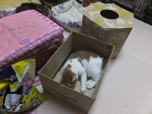 2017.10.23 (12).JPG'.JPG