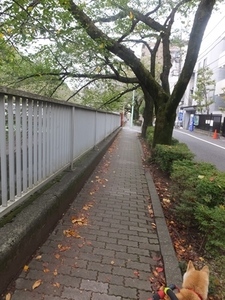 2017.10.7- (10).JPG'.JPG