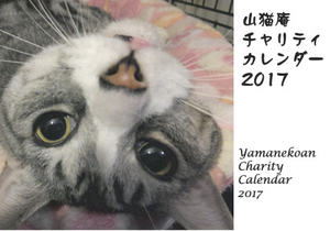 カレンダー2017.jpg